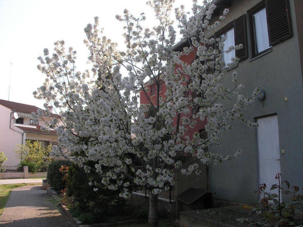 Apartment Cherry Ρόβινι Εξωτερικό φωτογραφία